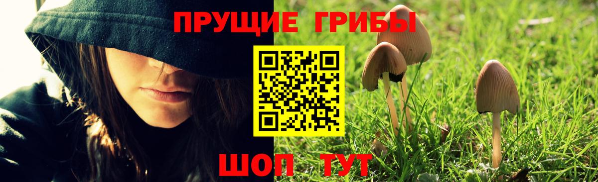 Псилоцибиновые грибы ЛСД  Вход с VPN  Галлюциногенные грибы MAGIC MUSHROOMS  Кызыл 